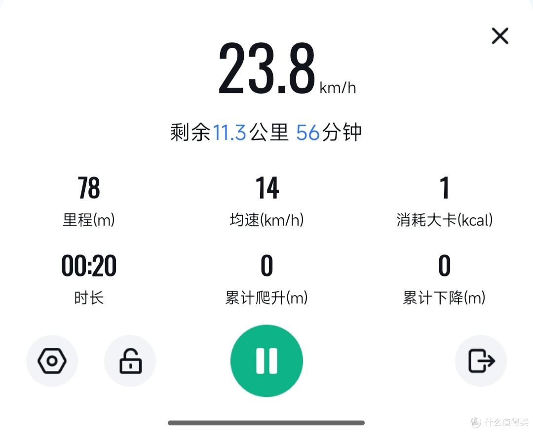 豹子的速度