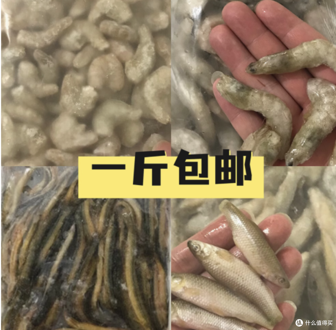 永恒水族新鲜冻虾鱼饲料:观赏鱼的极致美食盛宴