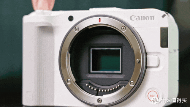 轻便且专业 佳能EOS R50V解析与实拍