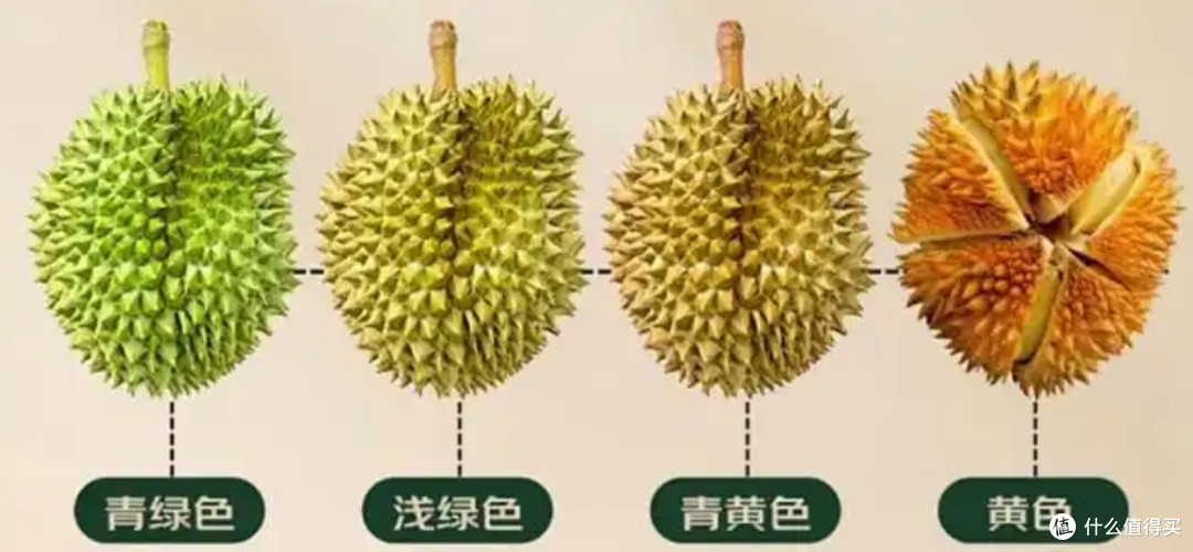 买榴莲不踩雷!七鲜“三保”太靠谱