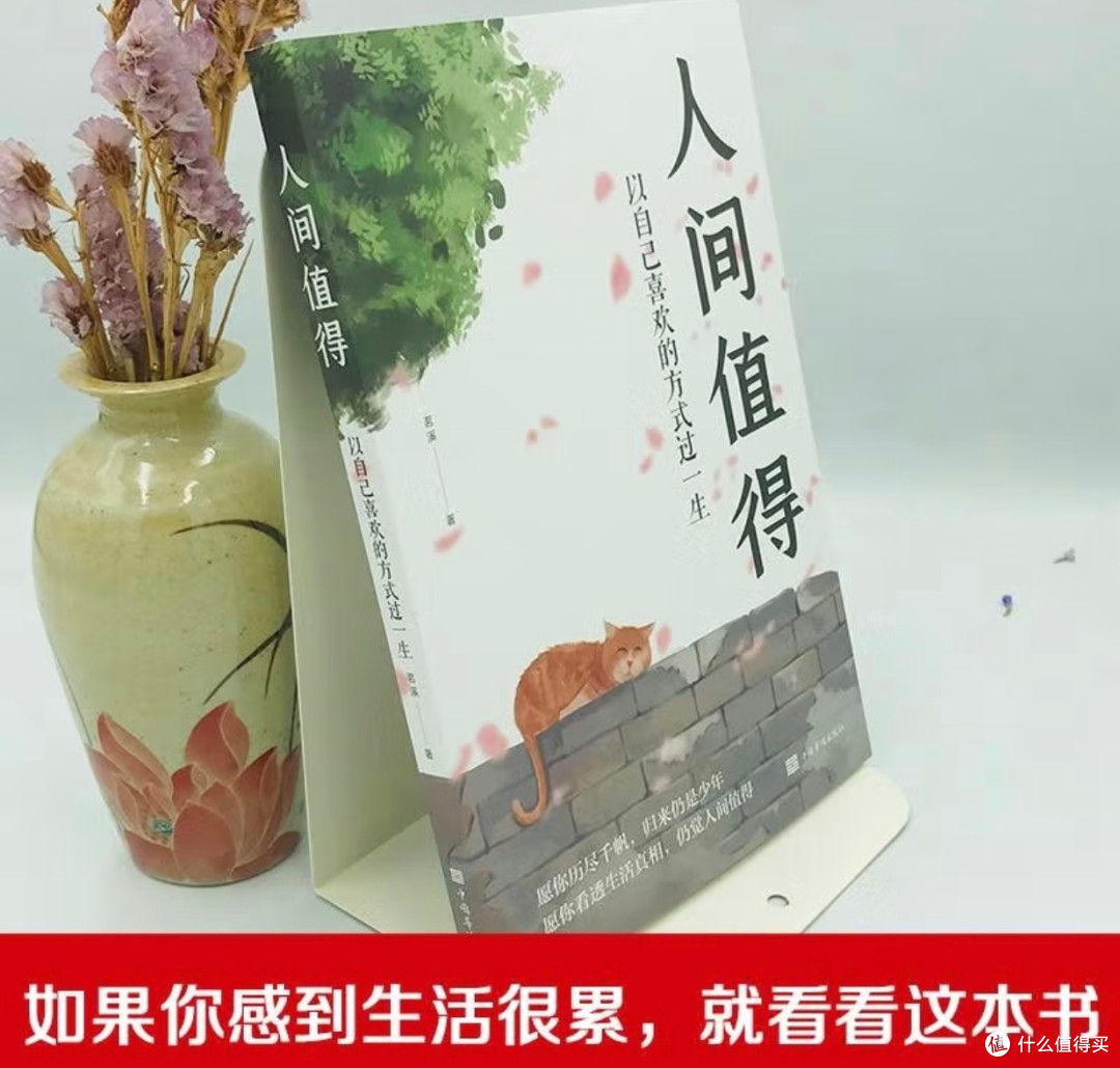 世界读书日，在静谧时光里邂逅《人间值得》
