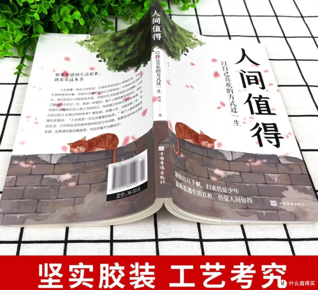 世界读书日，在静谧时光里邂逅《人间值得》