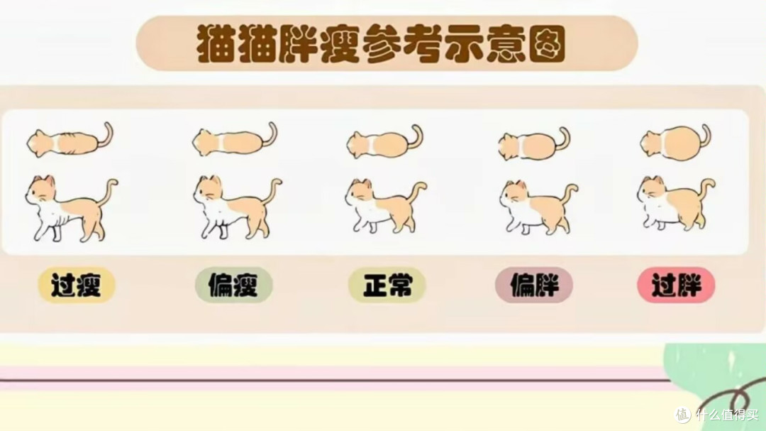 猫咪主食罐头哪个牌子好性价比高?猫咪主食罐头排行榜大全来解惑