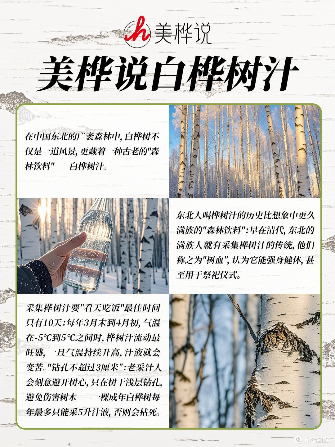 美桦说白桦树汁100%原汁原液0添加NFC天然植物饮料官方正品旗舰店
