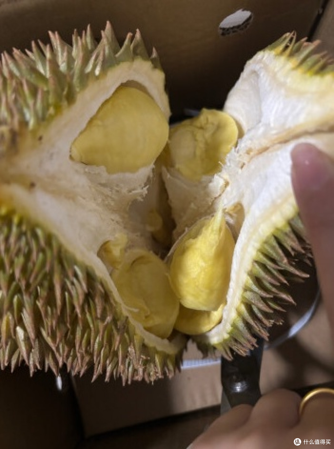 榴莲启示录:一场从枝头到舌尖的热带精神仪式