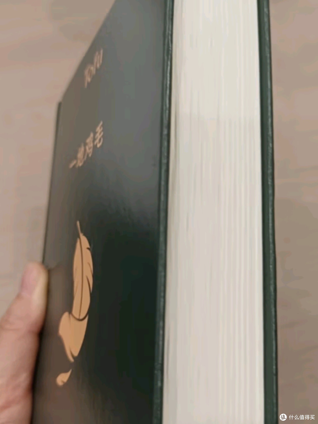 书香节阅读狂欢节 —— 刘震云作品精选：《一地鸡毛》