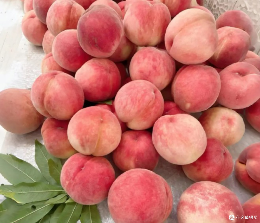 🍎🍊水果挑选秘籍大公开!秒变水果达人