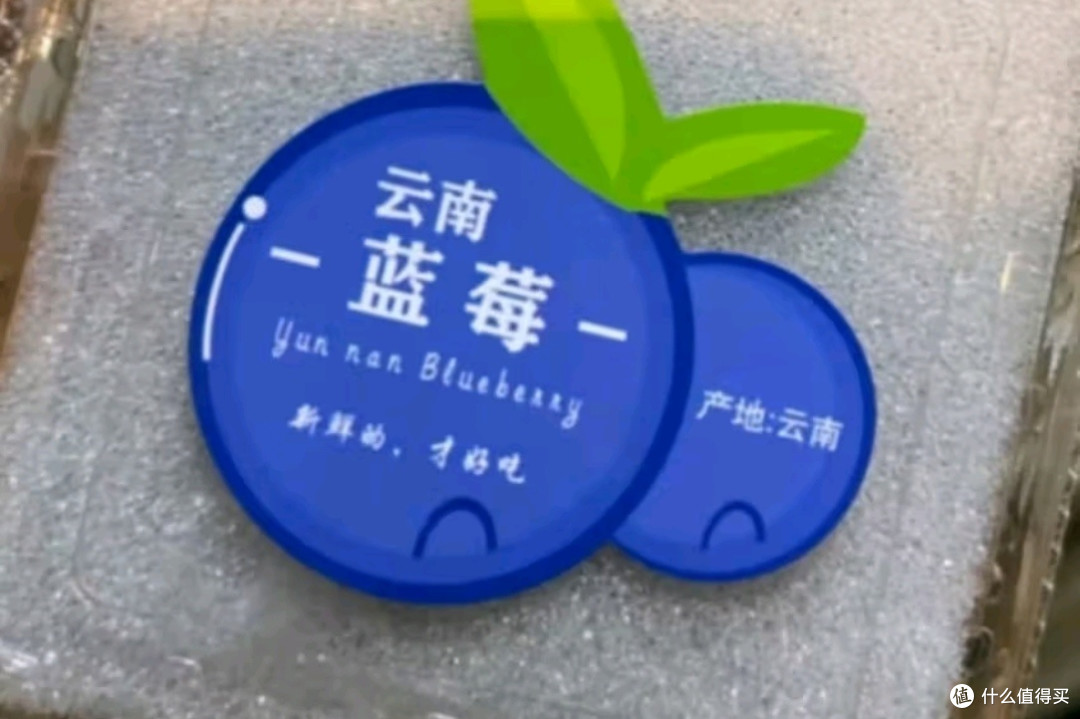 田良季云南花香蓝莓:国产水果的璀璨新星