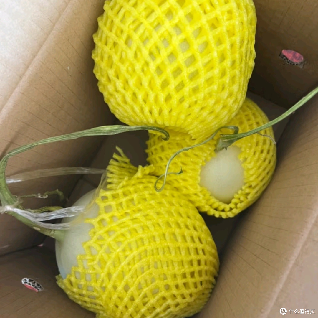 京觅山东玉菇冰淇淋甜瓜:夏日里的清甜诱惑