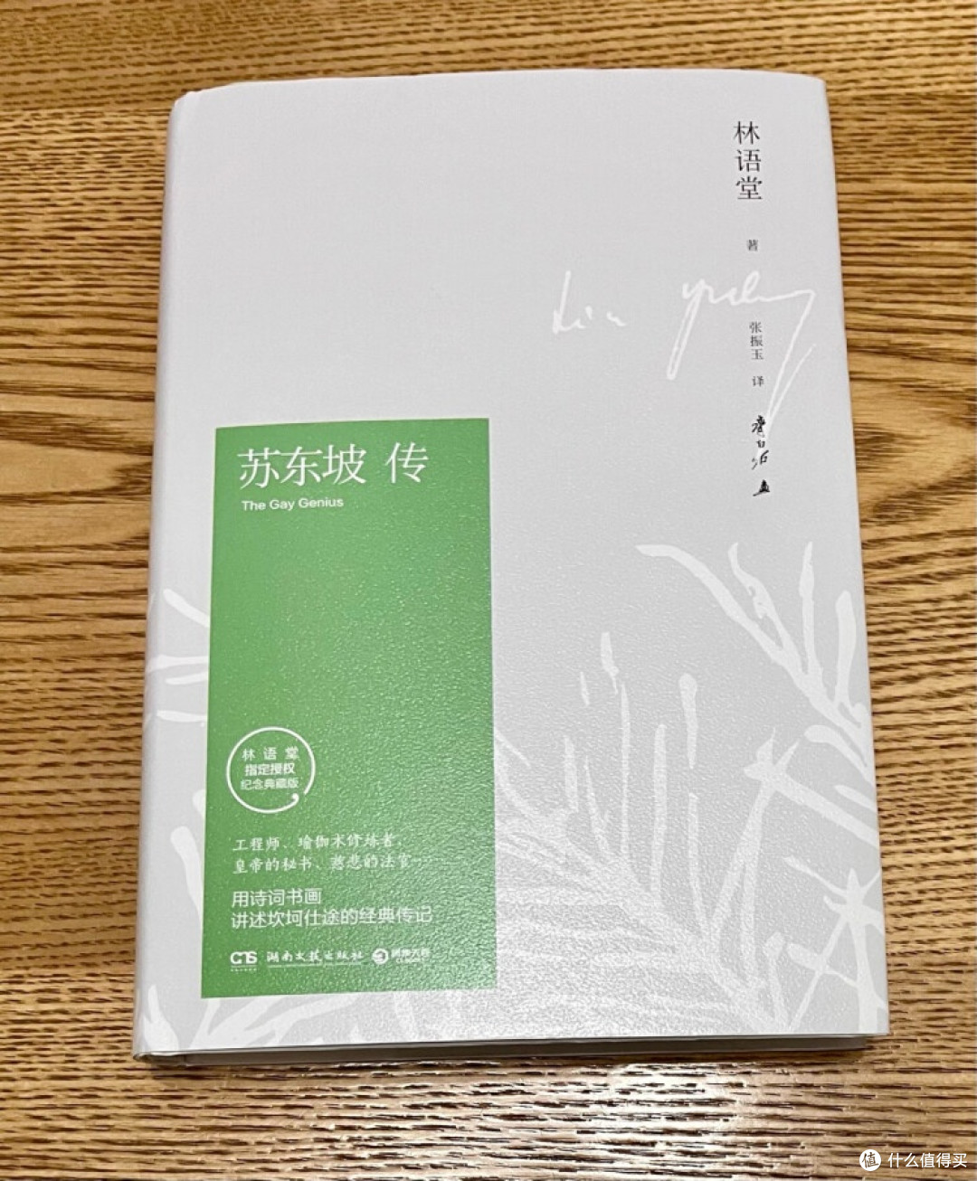 读《苏东坡传》，品东坡济世情怀