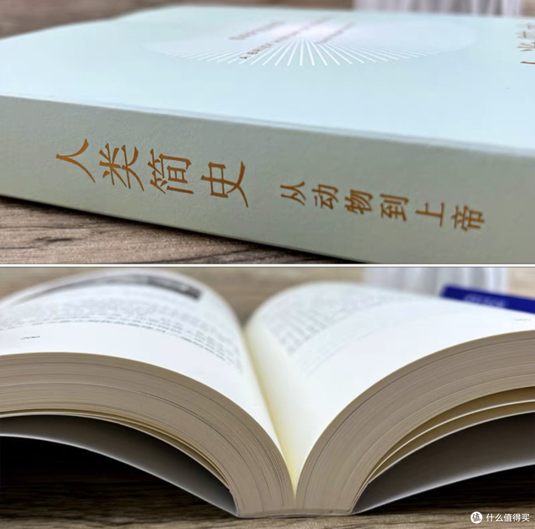 未来考古学家的惊悚手记:解码《人类简史》的文明暗线。