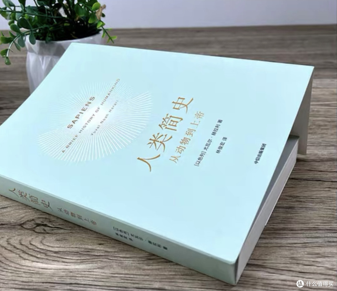 未来考古学家的惊悚手记:解码《人类简史》的文明暗线。