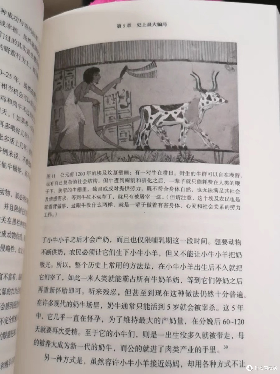未来考古学家的惊悚手记:解码《人类简史》的文明暗线。