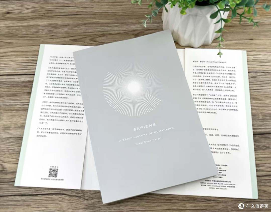 未来考古学家的惊悚手记：解码《人类简史》的文明暗线。