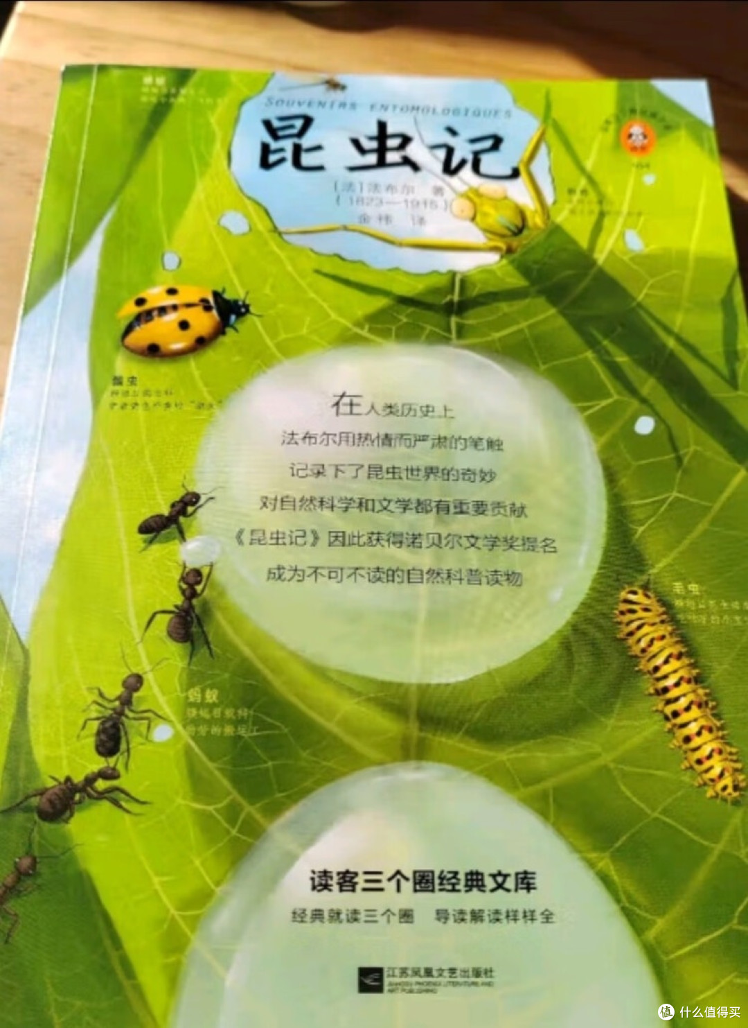 走进《昆虫记》：探寻微观世界的生命奇迹