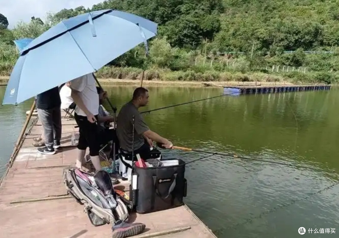 水畔静默中的垂钓体验