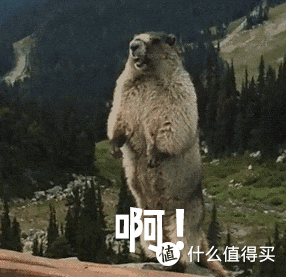 装修的坑我替你们踩了!5000字长文聊聊装修遇到的糟心事