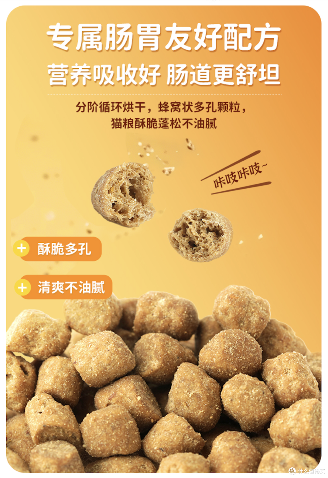 肠胃好，猫咪更健康：如何改善猫咪的消化问题