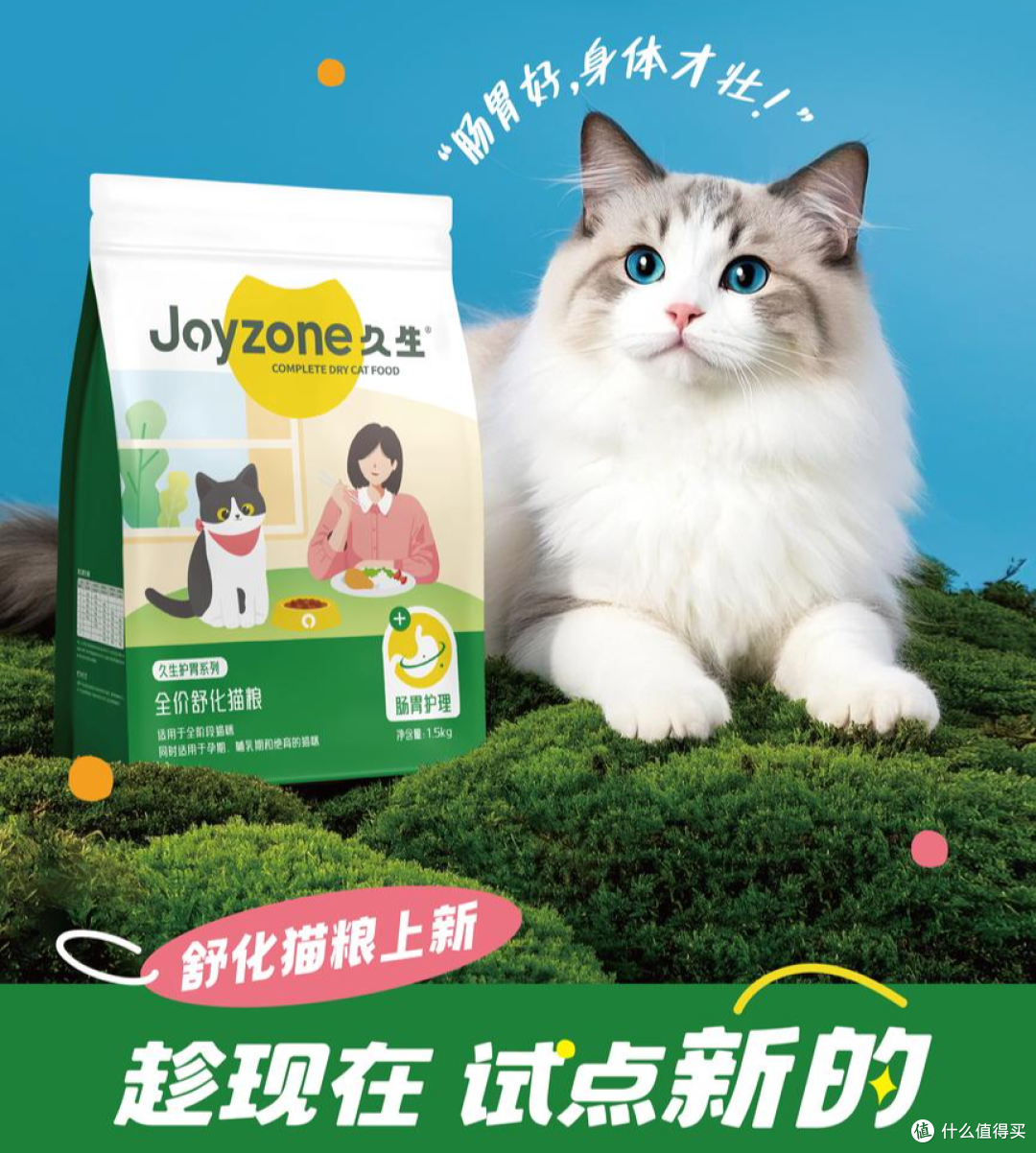 肠胃好，猫咪更健康：如何改善猫咪的消化问题