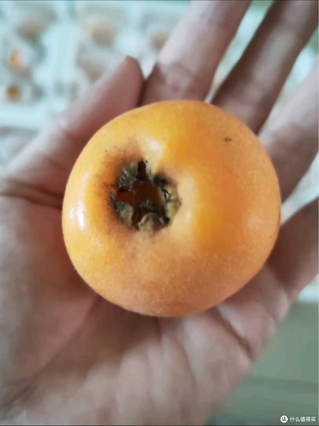 骄瑰米易枇杷:攀西阳光凝成的金玉珠,顺丰隔日锁鲜直达舌尖