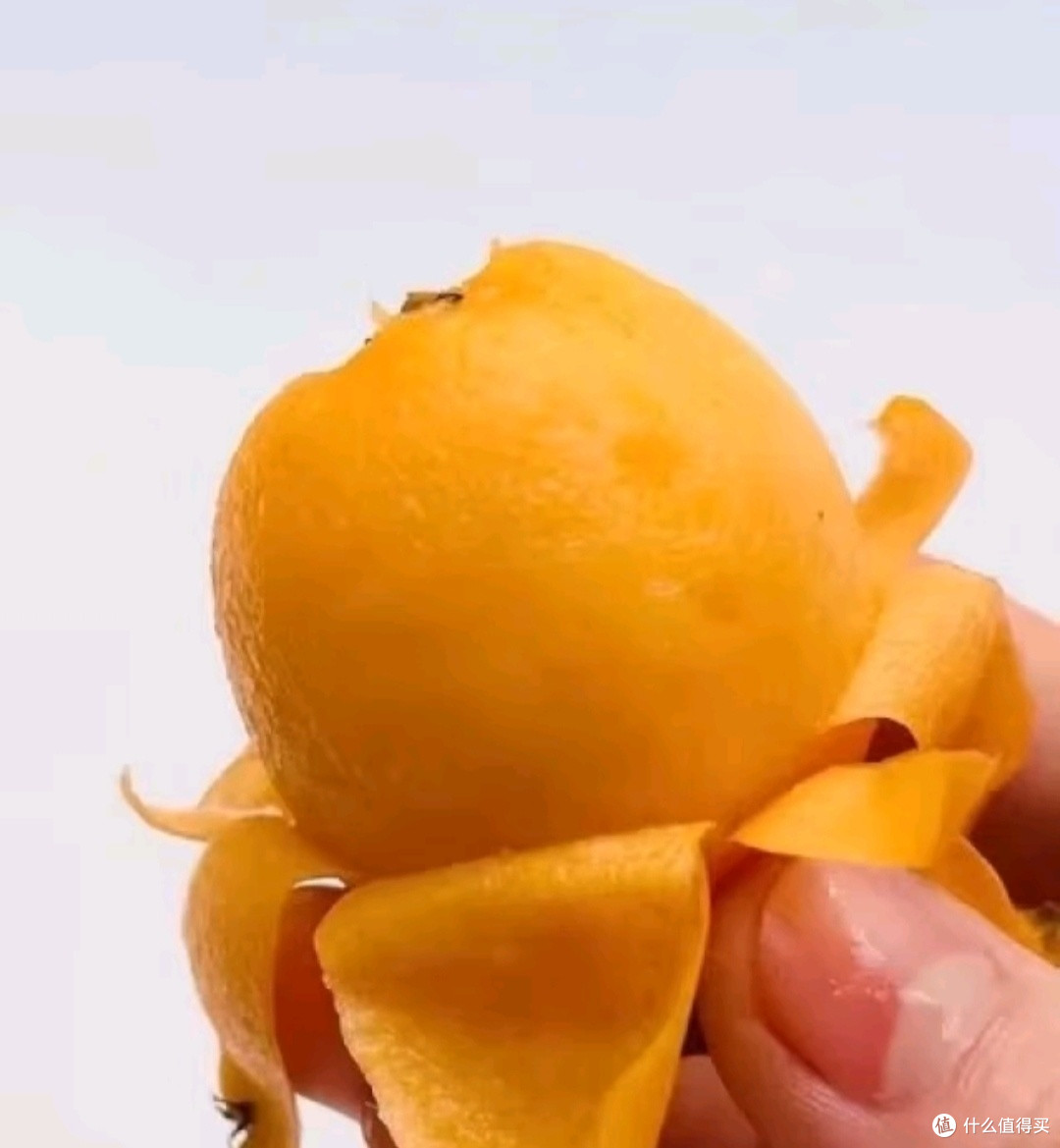 福建云霄甜枇杷:春日限定美味