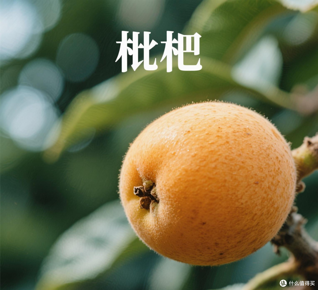 春季水果品鉴会：樱桃、草莓、枇杷，分享口感与挑选技巧