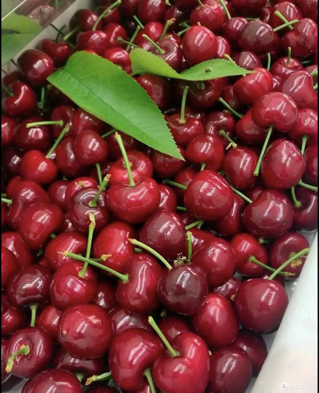 春节鲜果C位!一口爆汁的樱桃,把甜蜜年味“红”进团圆饭