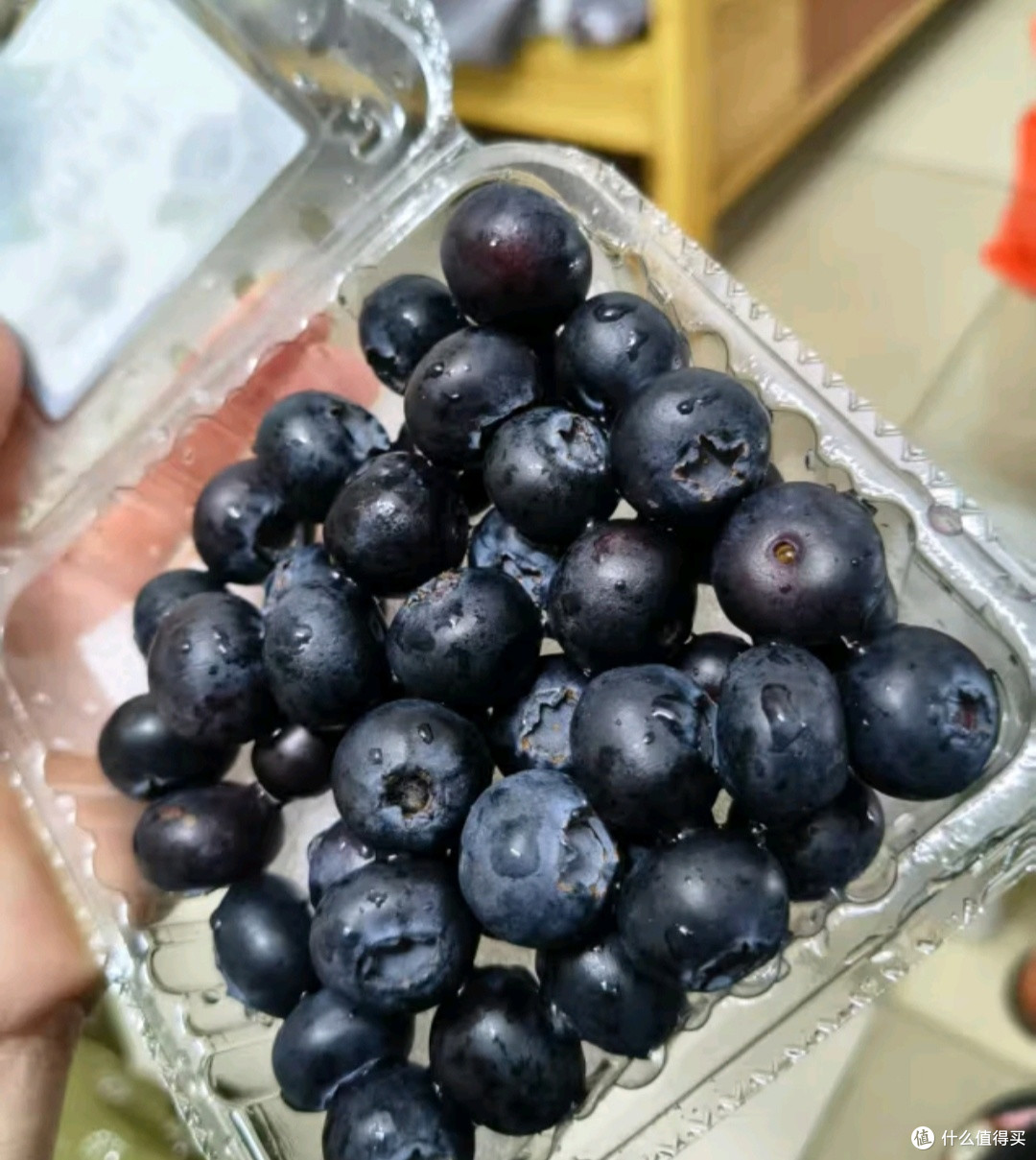田良季蓝莓:果香与营养的完美结合