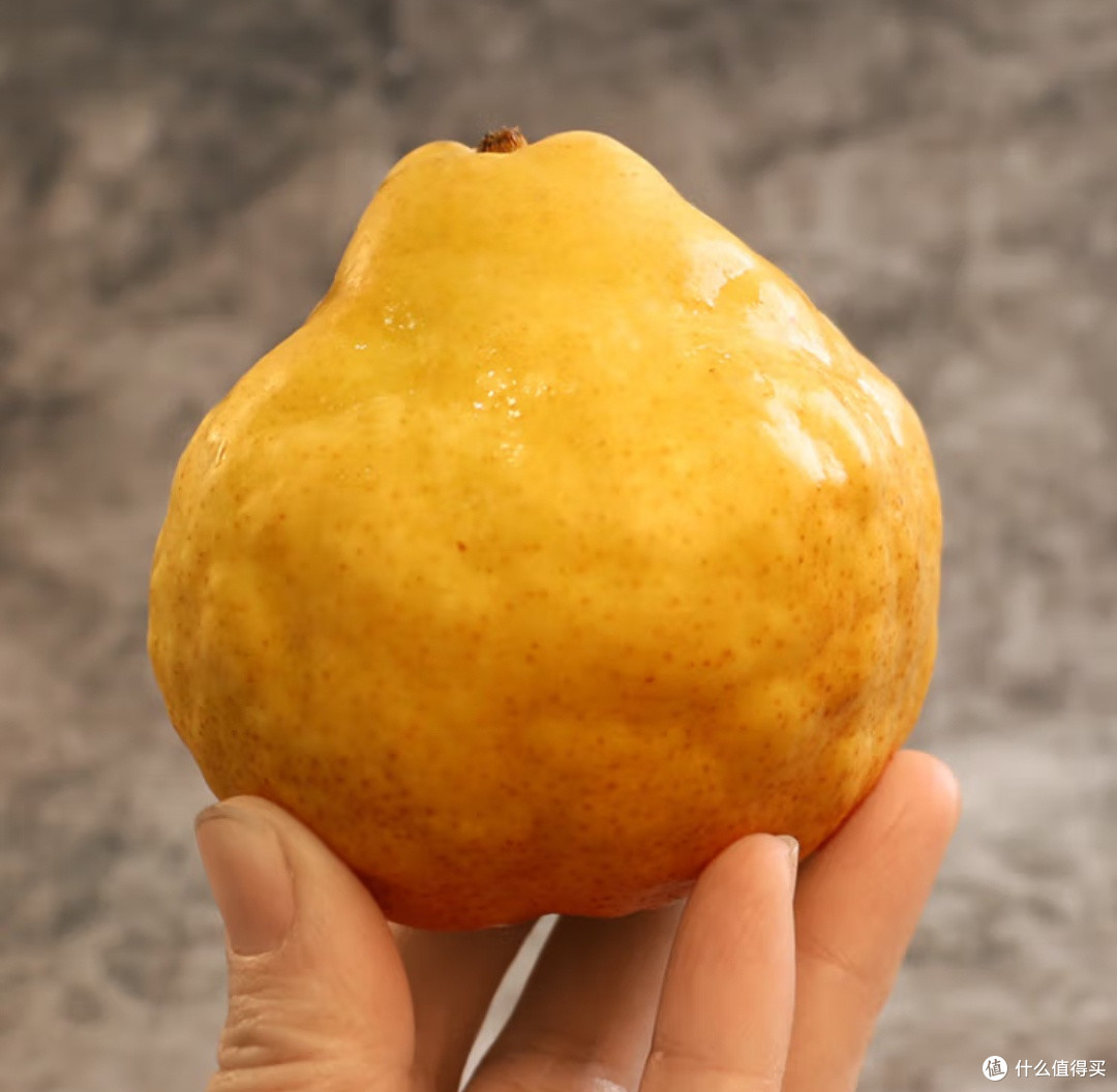 春天补水就吃山东烟台中华丑梨