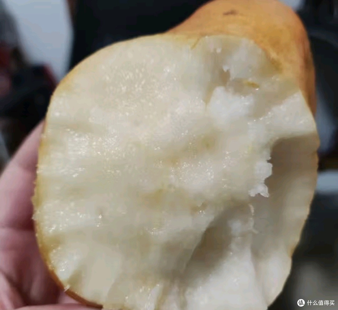 春天补水就吃山东烟台中华丑梨