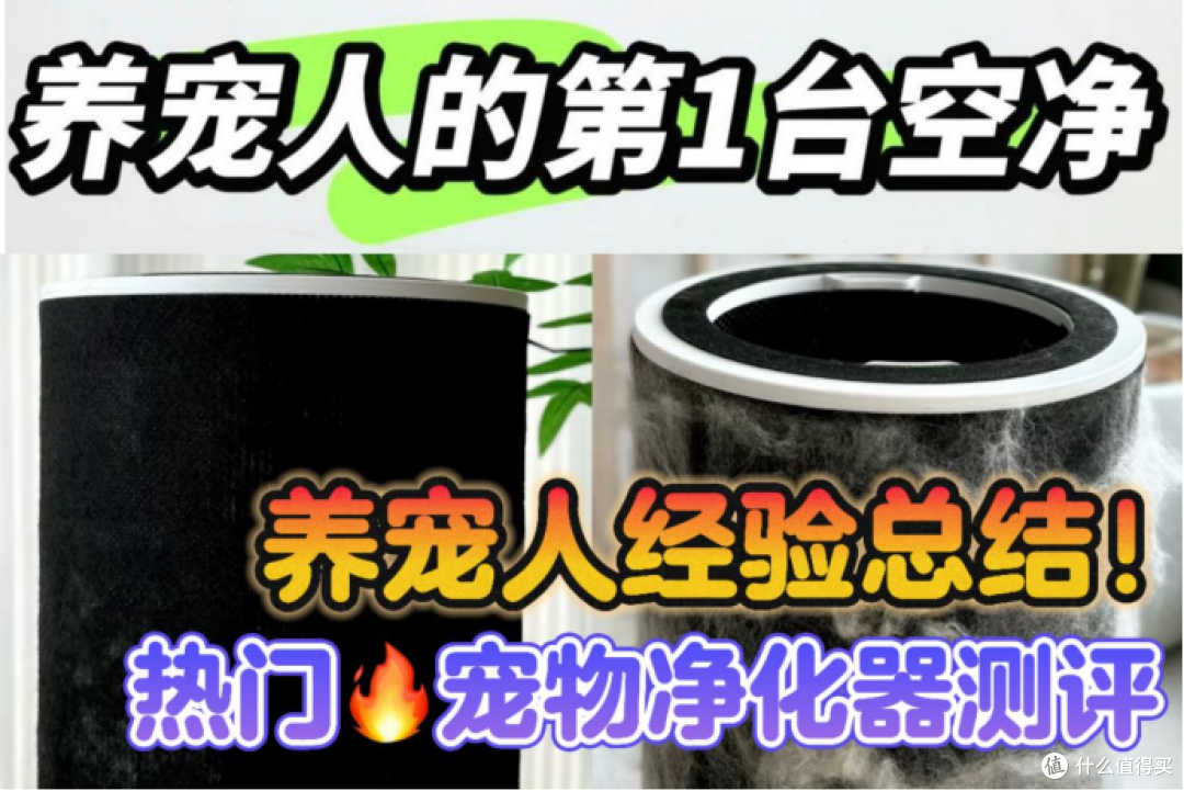 宠物净化器吸猫毛哪个牌子好?良心推荐总结优质款