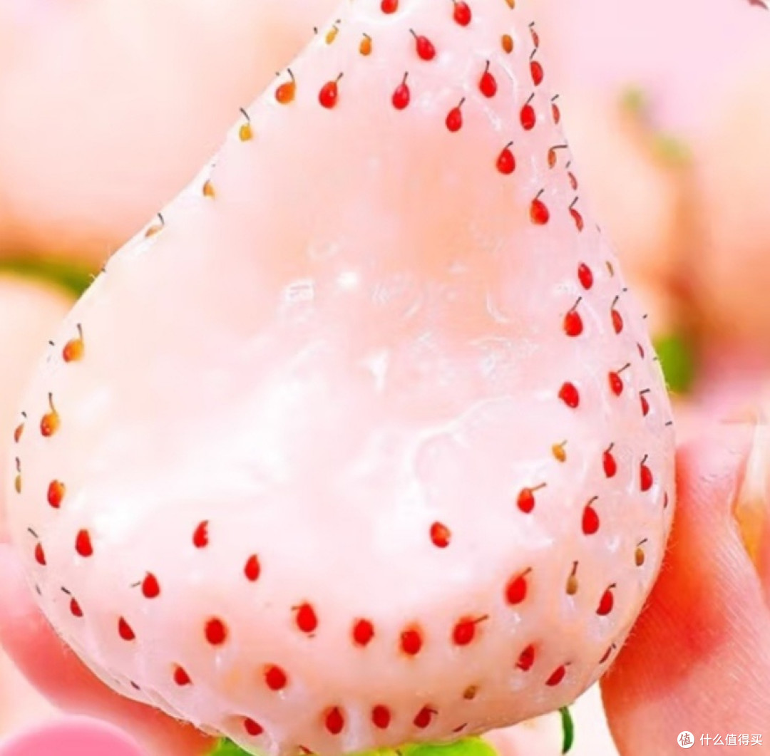 白草莓
