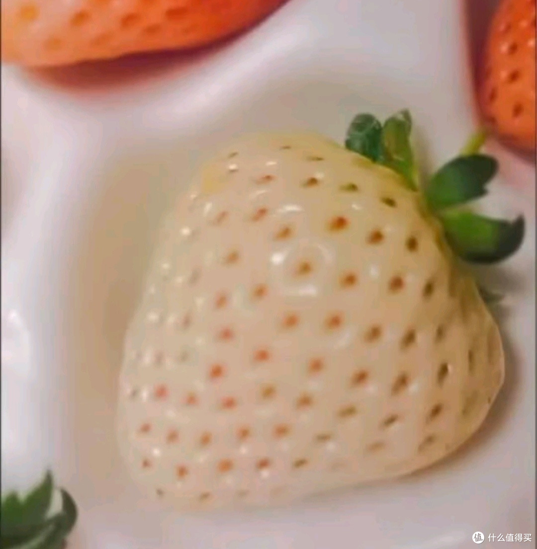 白草莓