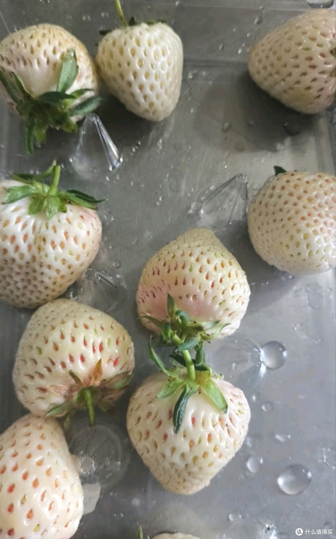 白草莓