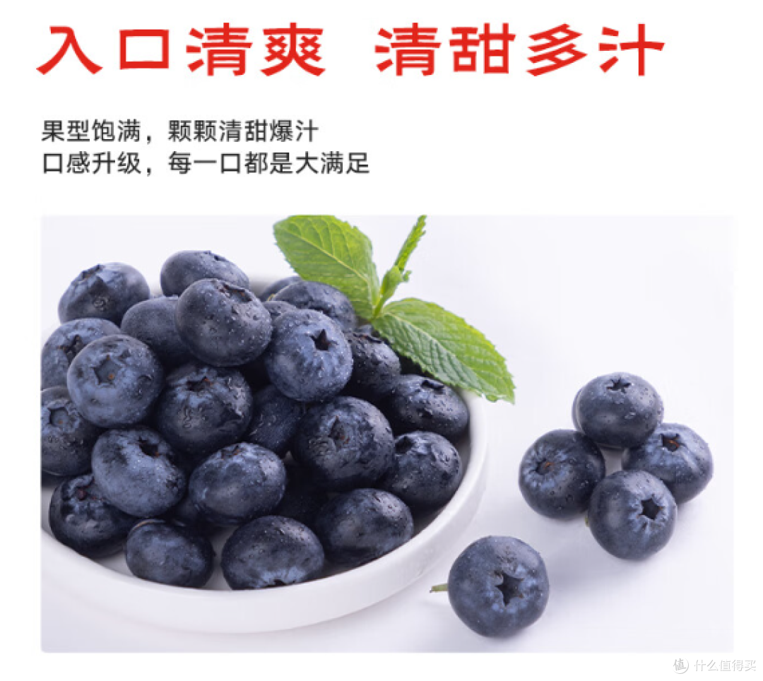 春日私藏 | 来自云南的紫宝石:甜蜜蓝莓正当食!