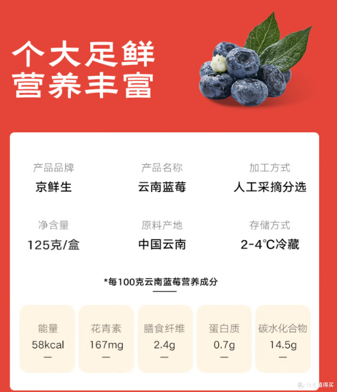 春日私藏 | 来自云南的紫宝石:甜蜜蓝莓正当食!