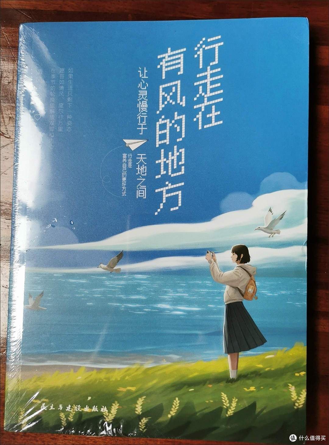 《行走在有风的地方》:把生活过成一首自由的诗