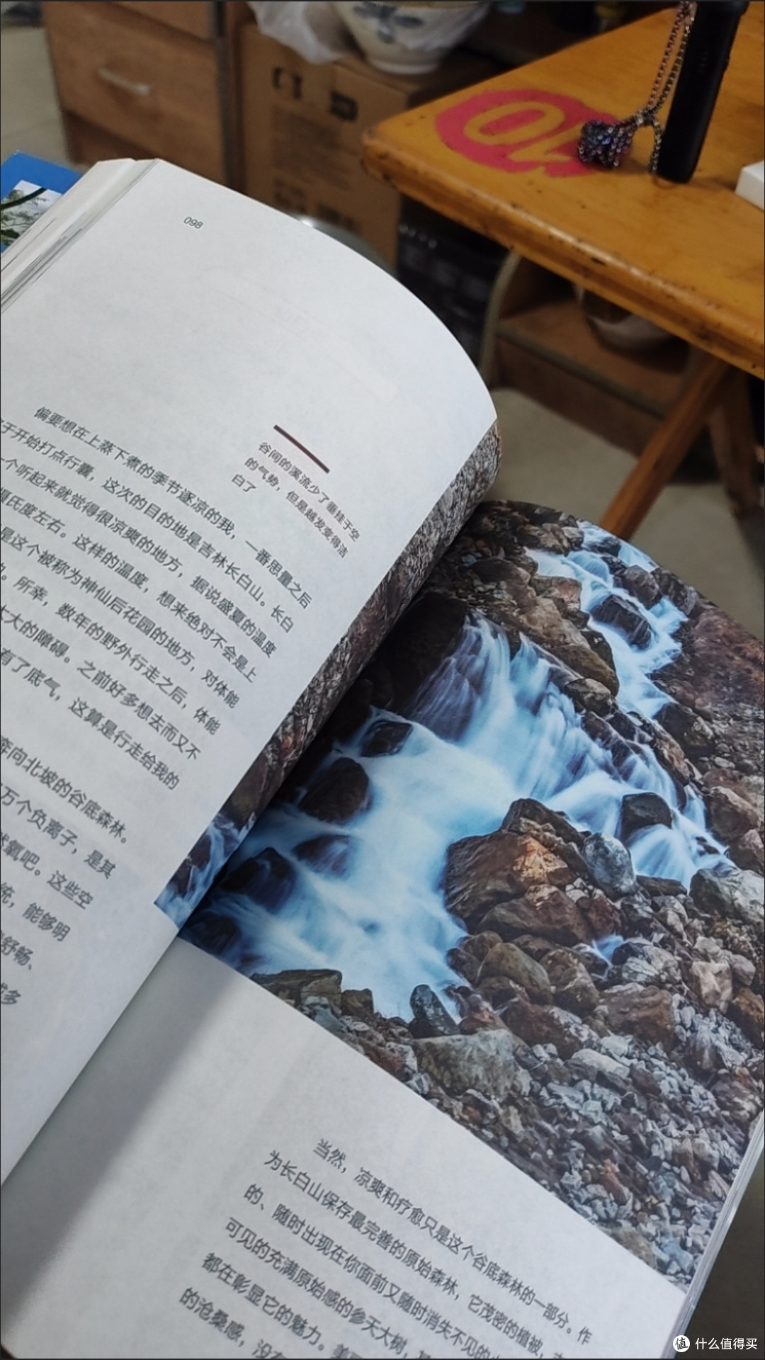 《行走在有风的地方》:把生活过成一首自由的诗