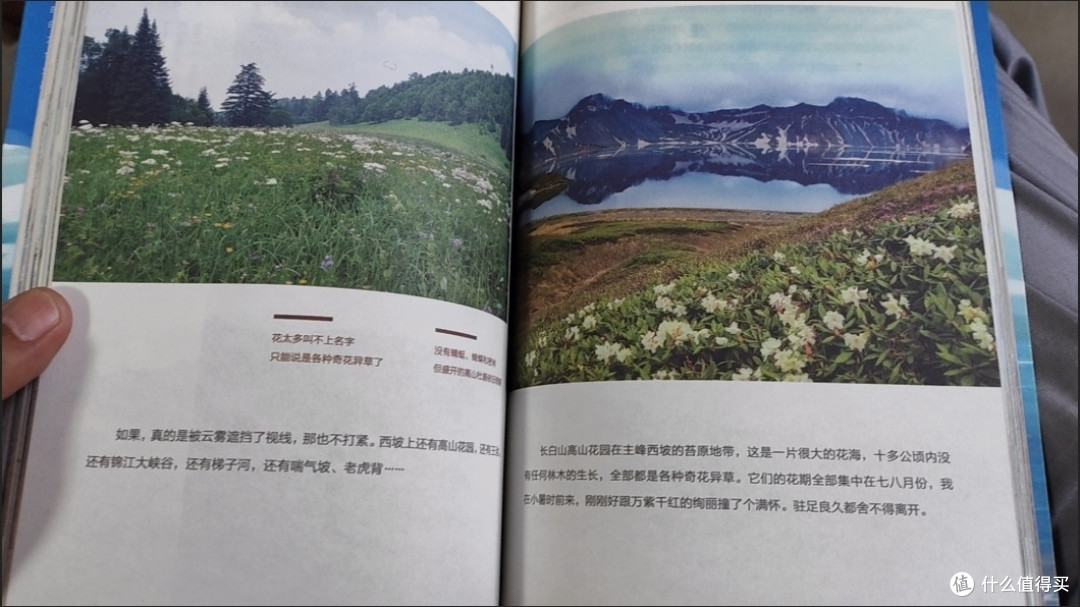 《行走在有风的地方》:把生活过成一首自由的诗