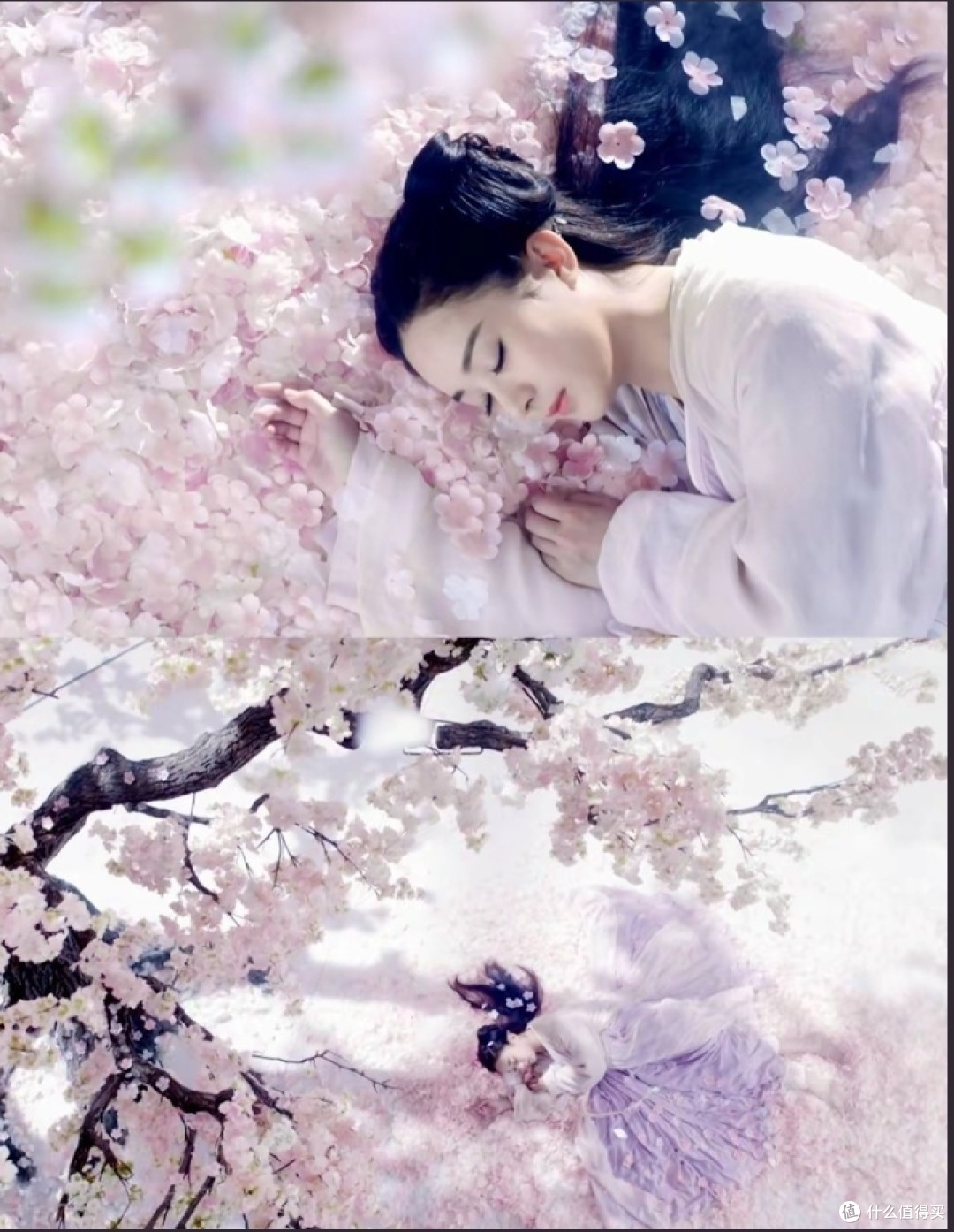 情劫难渡,执念成殇——《花千骨》