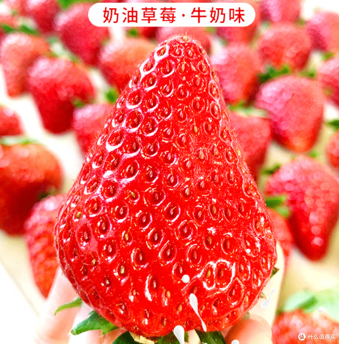 红颜草莓和奶油草莓哪个好吃?