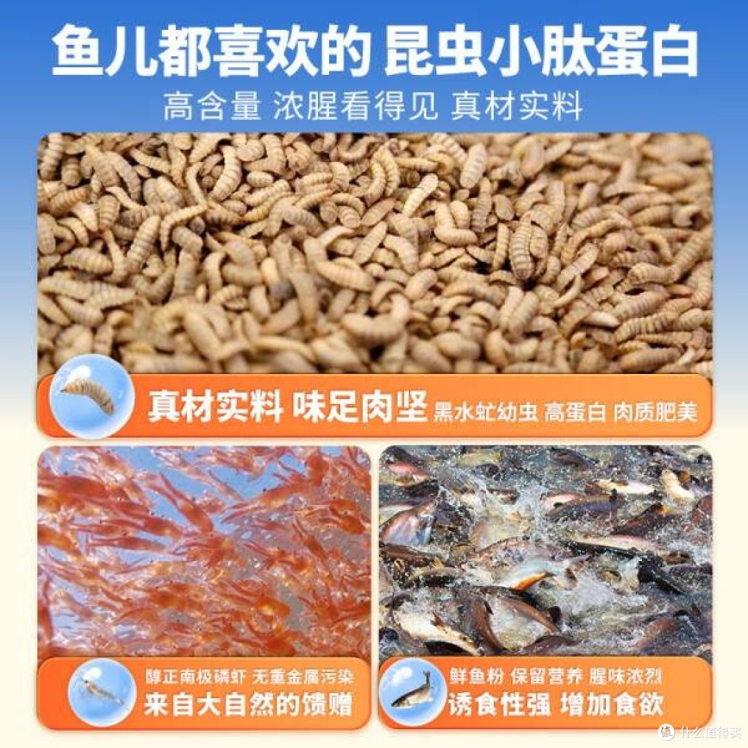 腥香之魅:论钓鱼王地狱猫昆虫蛋白鱼饵的秋冬垂钓哲学