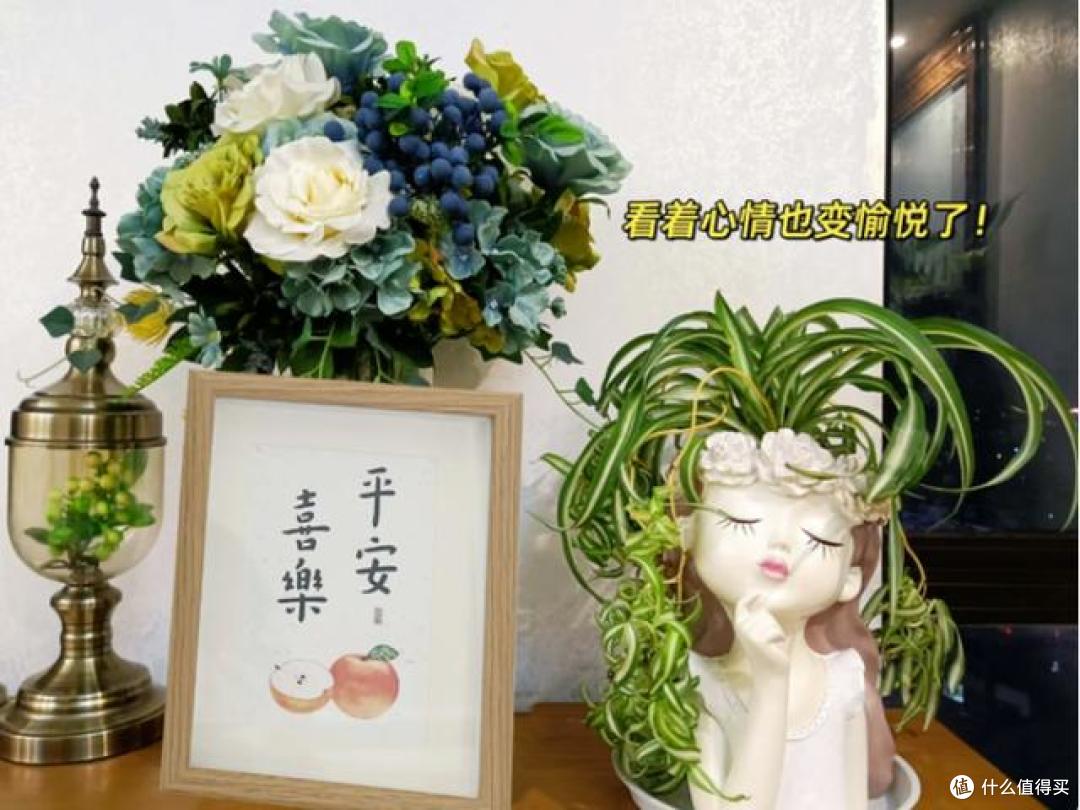 重庆一太太,因“娃娃吊兰客厅”走红,治愈又好看,太美了!