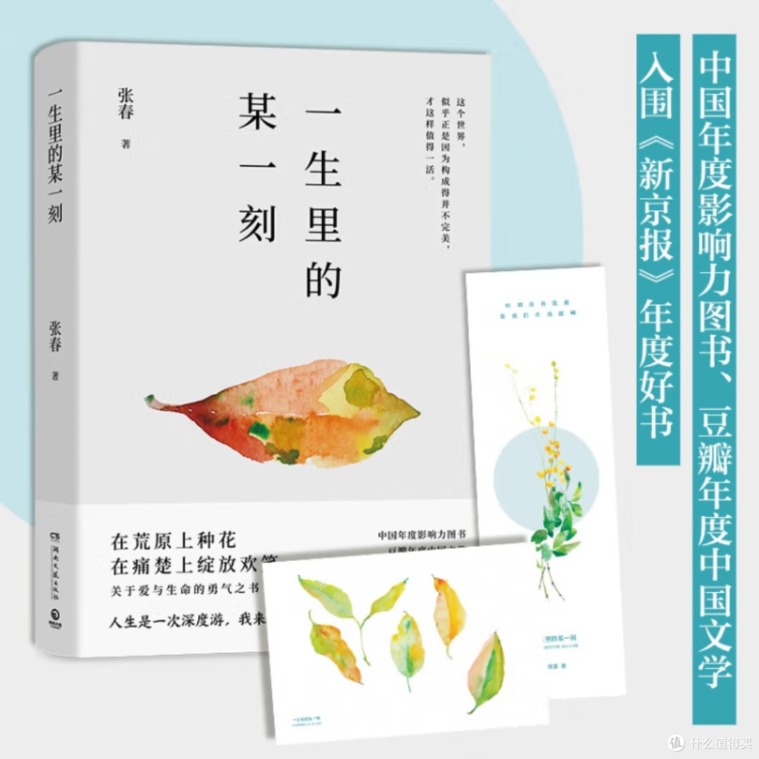 生活中的细腻与温情