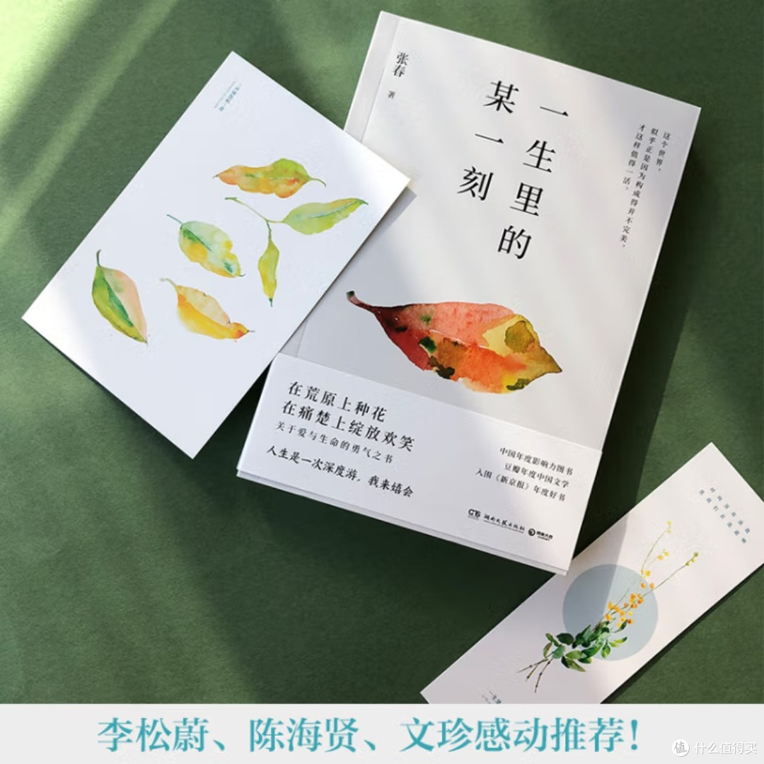 生活中的细腻与温情