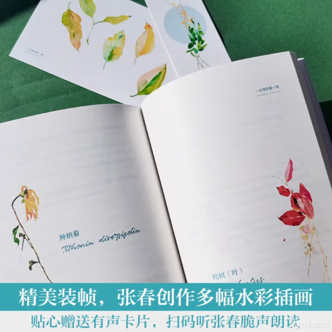 生活中的细腻与温情