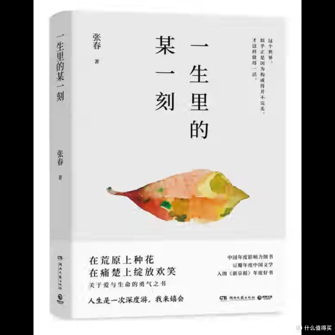 生活中的细腻与温情