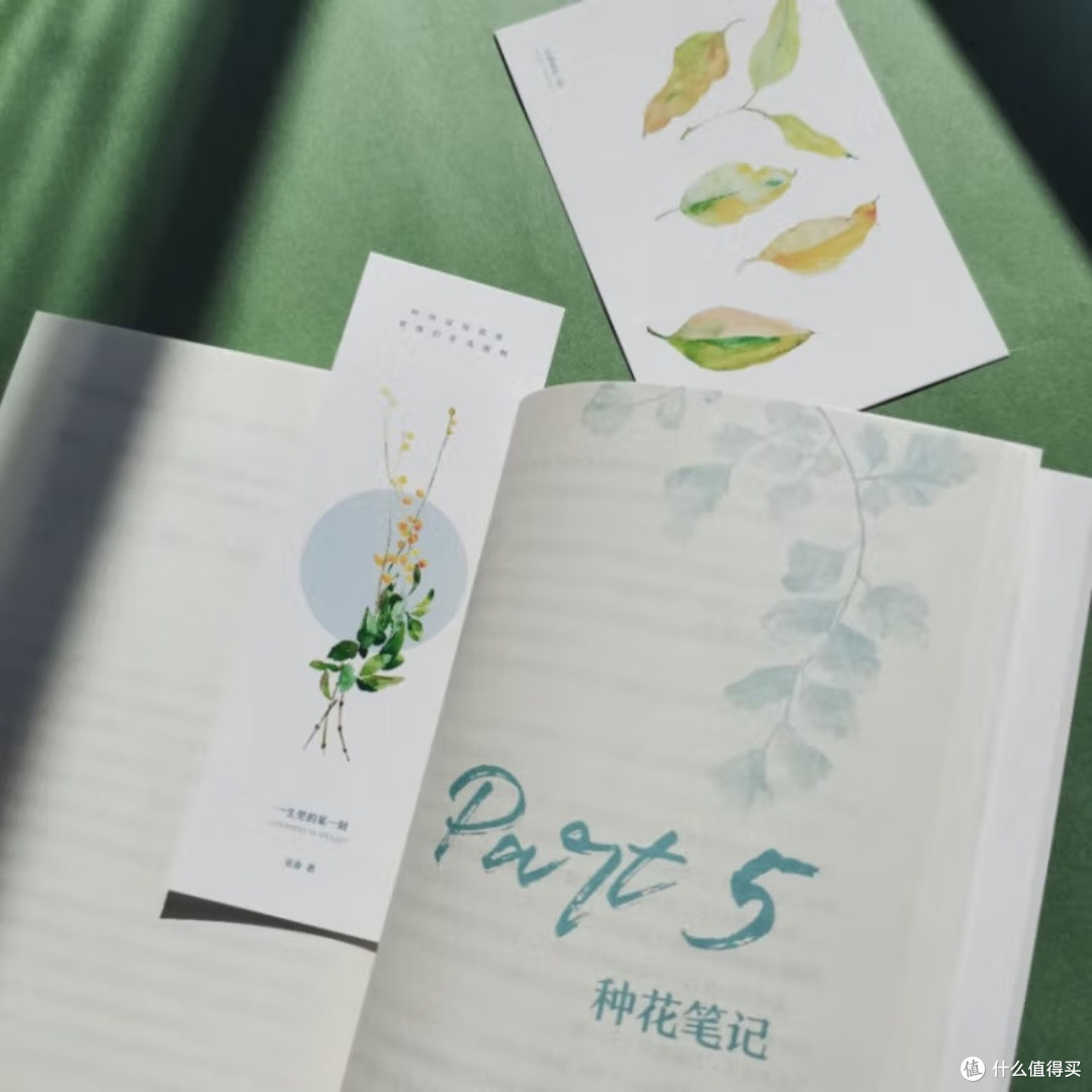 生活中的细腻与温情