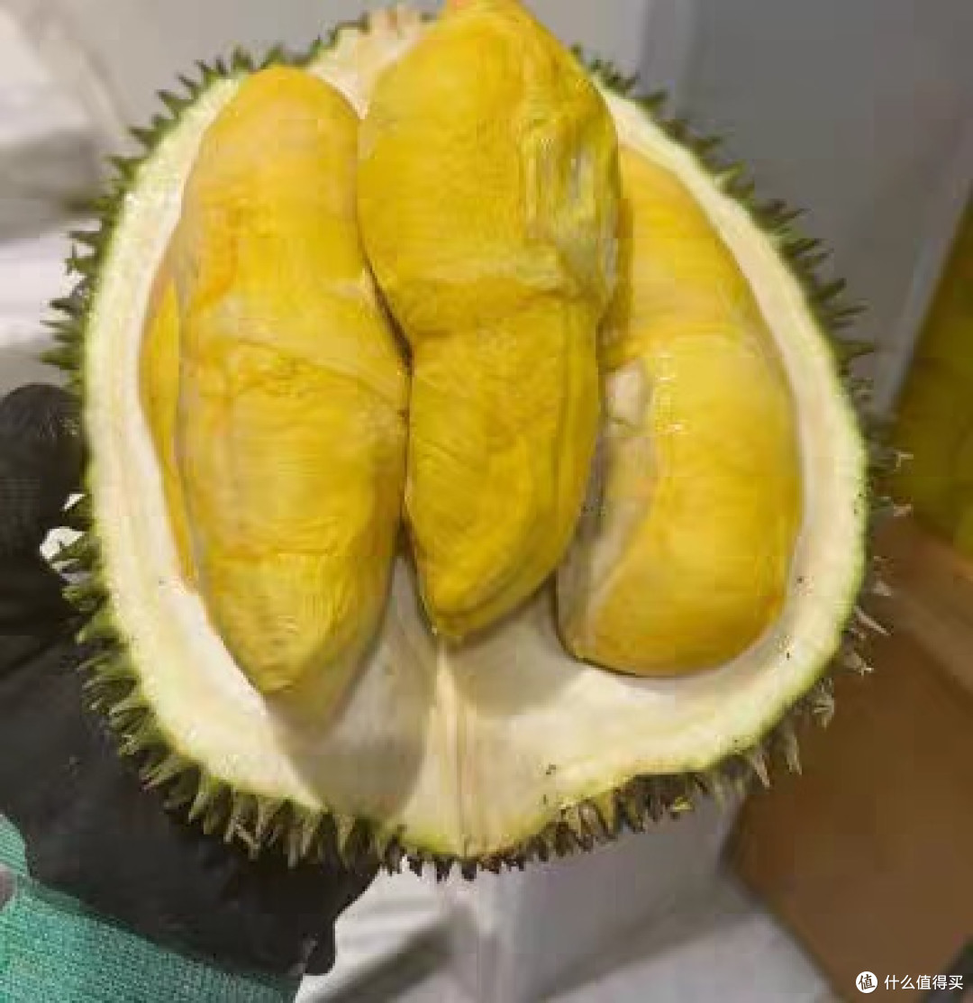 香气诱人的水果之王,我最爱的报恩榴莲