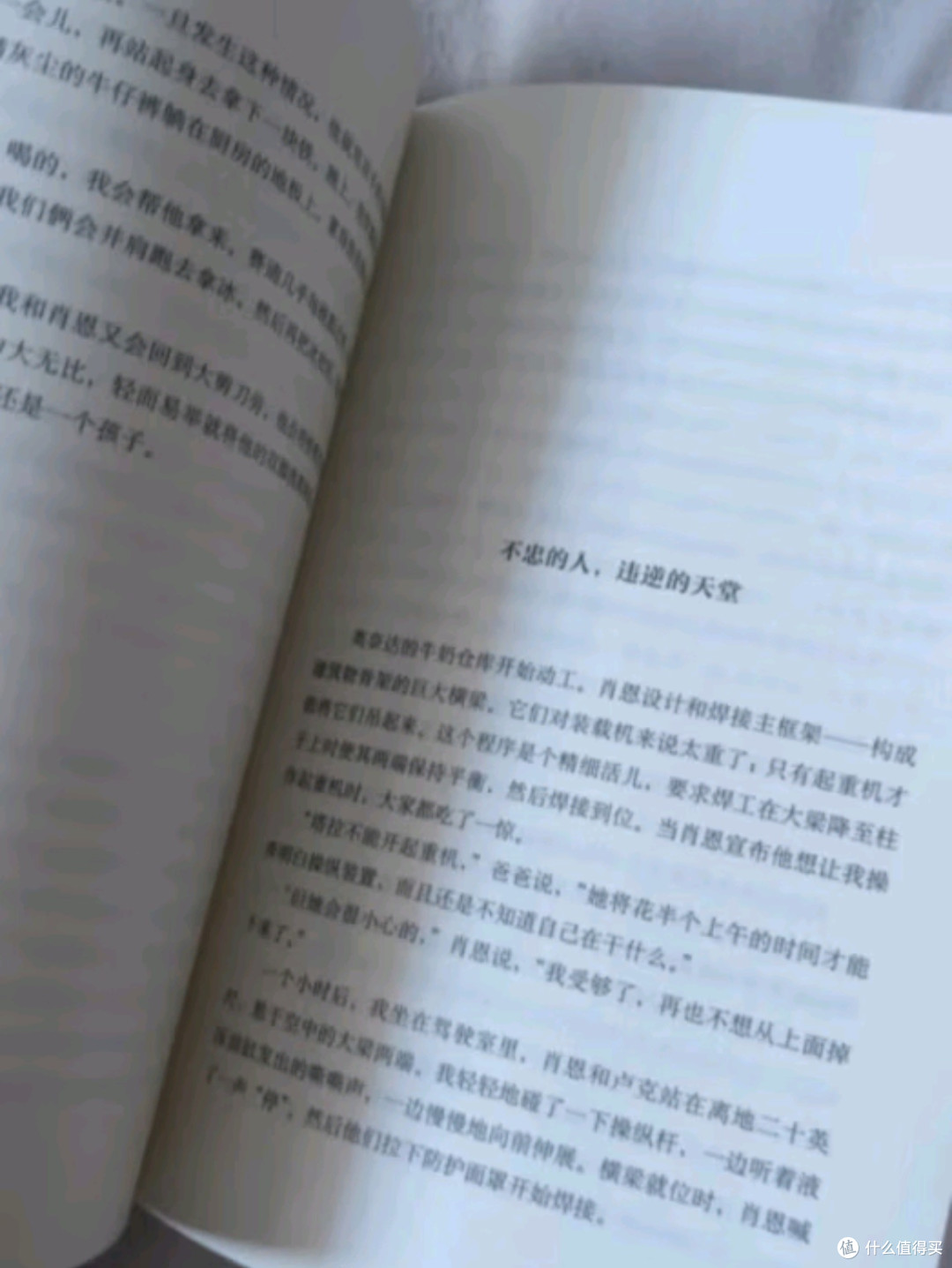 《你当像鸟飞往你的山》——十点共读,心灵的迁徙与梦想的启航